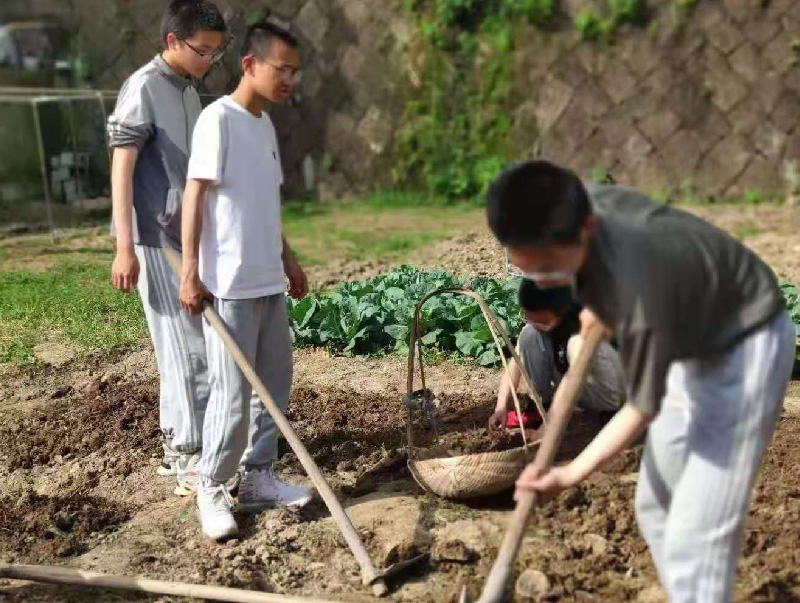 劳动体检教育课程